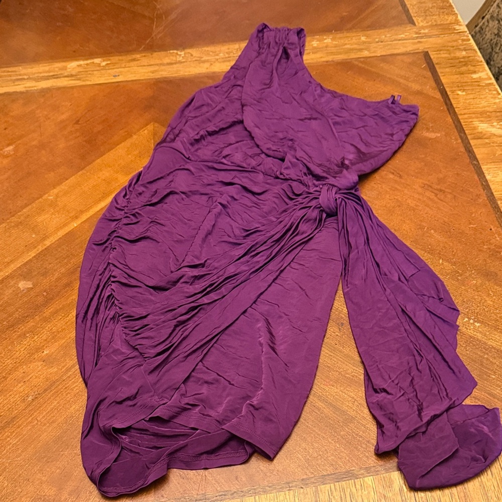 Newport News One Shoulder Purple Dress